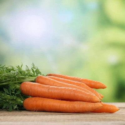 CYBEXIS Carrot Seeds for Outdoor Farm4000 Seeds Seed(4000 per packet)