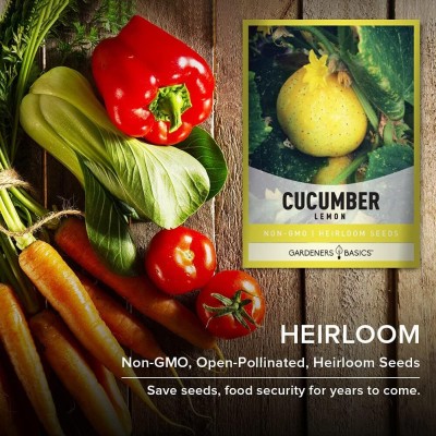 Qualtivate ICRA-9A Lemon Cucumber Seeds Seed(300 per packet)