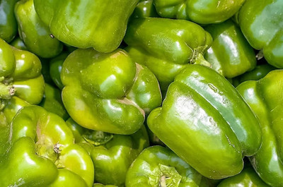 VASUDHA GREEN Bell PEPPER Sweet Capsicum Seed(100 per packet)