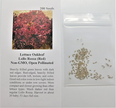 VibeX ® XLR-799 Lettuce Oakleaf Lollo Rossa(Red) Seed(200 per packet)