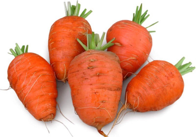 Qualtivate FXL-5AT Oxheart Carrot Seeds Seed(300 per packet)