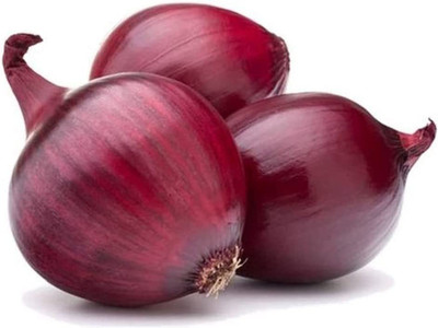 CYBEXIS HUA-82 - Onion Red Burgundy Red Sweet - (4500 Seeds) Seed(4500 per packet)