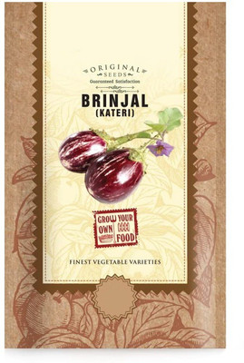 CYBEXIS LX-64 - Brinjal Kateri Vegetable - (1350 Seeds) Seed(1350 per packet)