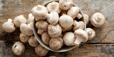 XOLDA Mushroom herbs Seed(25 per packet)