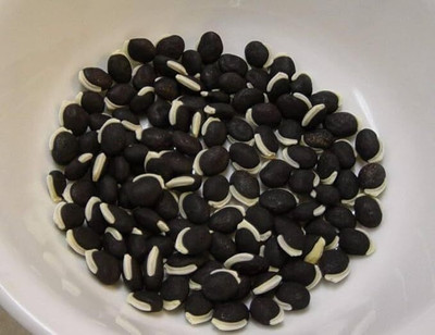 isarkars ™ Runner Beans Seed, Seem Seed, Runner Beans Hybird Seed(18 per packet)