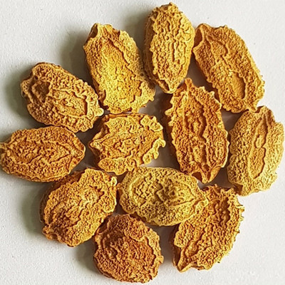PLANTORISH Bitter Gourd Seeds, Organic Seed for Gardening & Farming, Korola Seed(25 per packet)