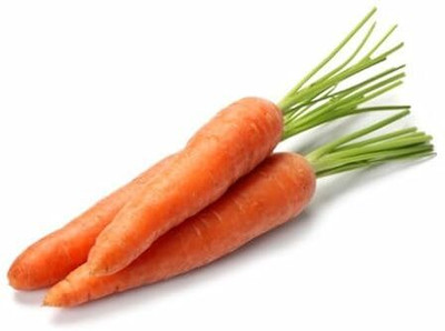 KNESSiN Carrot Artist Seed(2500 per packet)