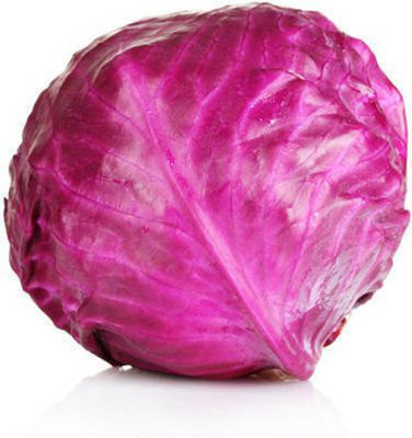 Paudha Red Cabbage Seed(52 per packet)