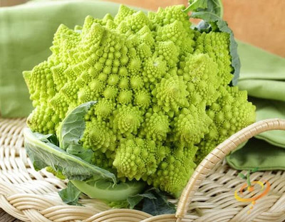 WILLVINE MEH -V Broccoli Varieties-'Romanesco' Seeds [25g] Seed(7500 per packet)