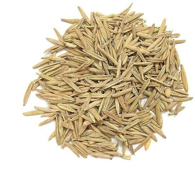 WHO Indrajau Kadwa | Indra jau - Holarrhena Pubescens Seed(400 g)