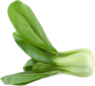 Quentova Pak Choi Goku (Green Stem)-VXI-6C Seed(200 per packet)