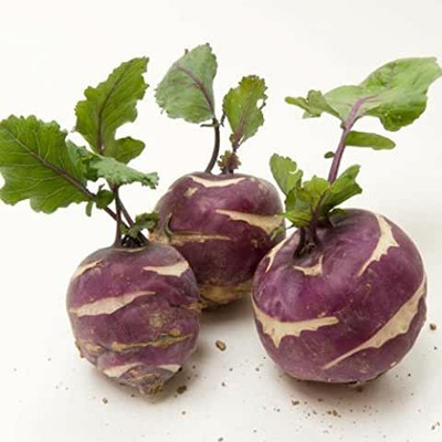 MAA Turnip, Shalajam Seed(15 per packet)
