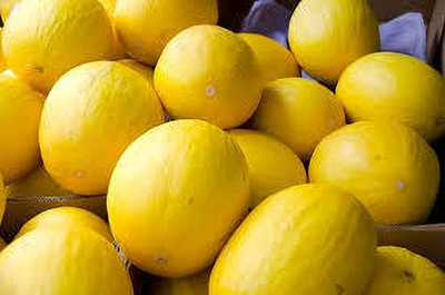 Dbbrothers muskmelon seeds for farming pack of 15 Seed(15 per packet)