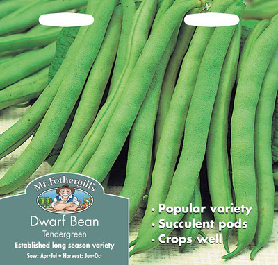 CYBEXIS Dwarf French Bean Tendergreen200 Seeds Seed(200 per packet)