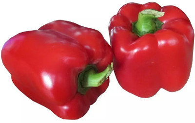 Quentova Capsicum Seeds Seed(50 per packet)