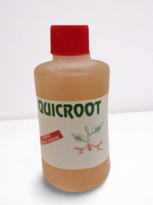 Divine Blossoms Quickroot Rooting Harmone - 500 Ml Seed(1 per packet)