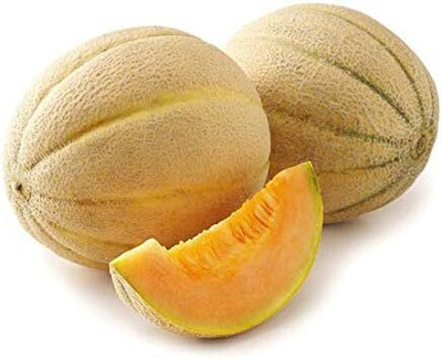 Qualtivate HUA-4A Honey Dew Musk Melon Seeds Seed(200 per packet)