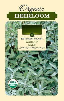 CYBEXIS XLR-40 - Certified Organic Garden Sage - (1350 Seeds) Seed(1350 per packet)