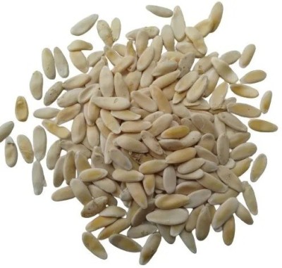 VibeX GBPUT-27 - Cucumber Kakri - Long Melon - (450 Seeds) Seed(450 per packet)
