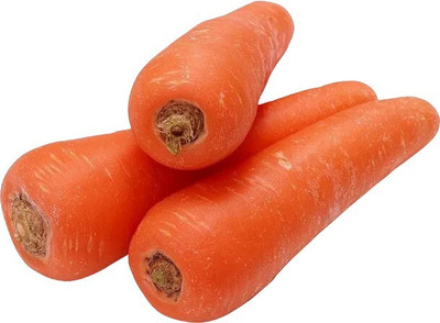 Quentova Gaajar Orange Carrot Vegetable-9Z-IACR Seed(250 per packet)