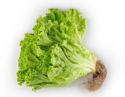 Flipkart SmartBuy Lettuce Curly Seed(30 per packet)