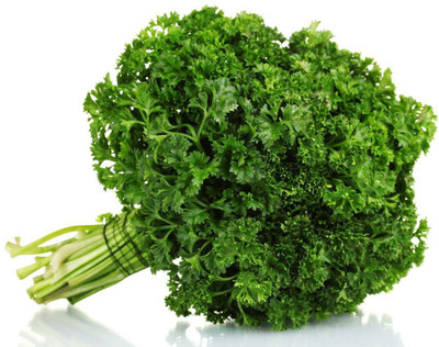 Quentova PARSLEY CURLED-VNT-5E Seed(100 per packet)
