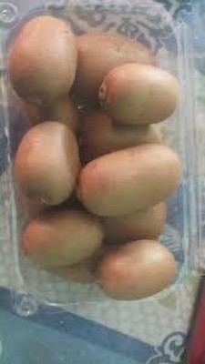 XOLDAA hybrid kiwi fruit seeds Seed(115 per packet)