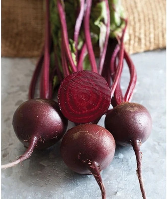 MYLAWN Dark Red Beet Seeds | Ruby Red Seed(1500 per packet)