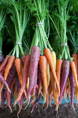 BDSresolve Hybrid carrot seeds PACK OF 86 Seed(86 per packet)