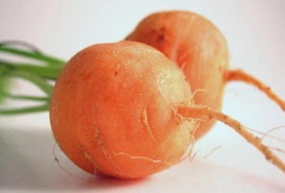 VibeX ® VMR-324 Parisian Carrot Seeds (Small, Round) Seed(500 per packet)