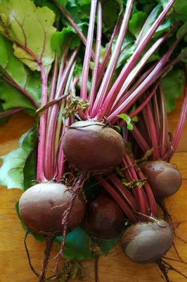 CEZIUS High Germination High Quality Red Beauty Beetroot-a15O Seed(440 per packet)