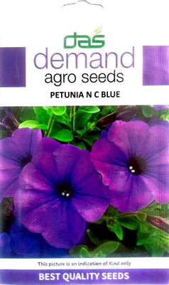 KRASHAK Petunia Blue, NC Blue Seed(2 per packet)