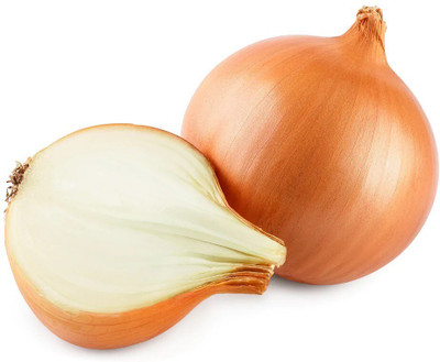 Quentova Onion yellow onion-RXI-2N Seed(250 per packet)