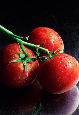 GREENSEA Organic Tomato Seeds for Home Gardening – High Yield, Non-GMO Seed(250 per packet)