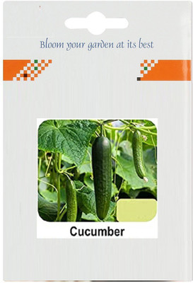 CYBEXIS Kheera/Cucumber500 Seeds Seed(500 per packet)