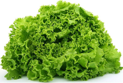 MOONQULTY Fresh Green Lettuce Vegetable 10 Seed(10 per packet)