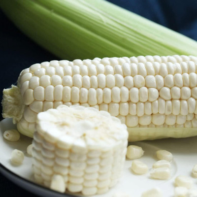WILLVINE SYN -II White corn seeds-[50g] Seed(200 per packet)