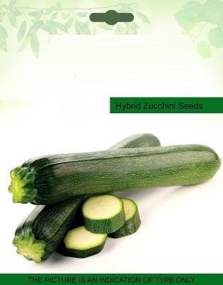 CYBEXIS SEEDS Hybrid Zucchini100 Seeds Seed(100 per packet)