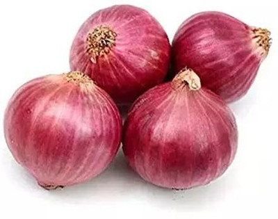 WATIKA Nasik Super Red (कांदा) Onion Seed(1000 per packet)