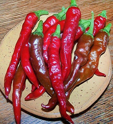 Biosnyg Organic Italian Sweet Long Pepper Seeds For Gardening-(2000 Seeds) Seed(2000 per packet)