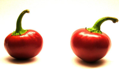KNESSiN Red Cherry Bomb Hot Chilli Seed(200 per packet)