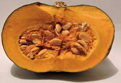 BJUBAS Pumpkin Styrian Skinless Organic Seeds Pack of 50 Seed(50 per packet)