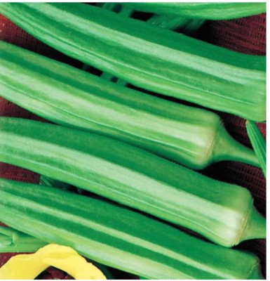 greenfarm NBC- Long Okra seeds /Bhindi Seeds , Best Quality ,200 X Seeds ,bxz18 Seed(200 per packet)