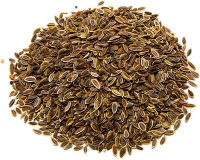 VibeX KGF -20 - Alligator Giant Dill - (2250 Seeds) Seed(2250 per packet)