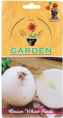 CYBEXIS Onion White Seeds1000 Seeds Seed(1000 per packet)