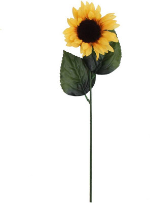 Mozette Exotic sunflower Seed(38 per packet)