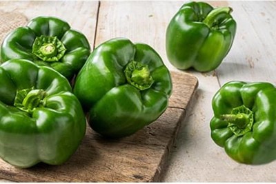 Qualtivate GBPT-5A Organic Natural Green Capsicum Seeds Seed(100 per packet)