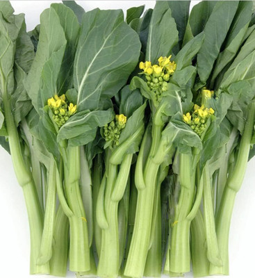 WILLVINE ROX -VI Choy Sum Seeds Chinese Broccoli [25g] Seed(7500 per packet)