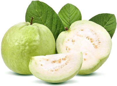 Lorvox Rare Exotic Dwarf Fruit Fruit Variety (Guava) Seed(15 per packet)