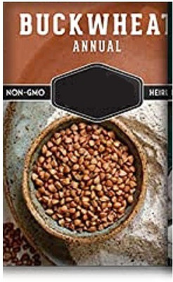 CYBEXIS Buckwheat-100 Seeds Seed(100 per packet)